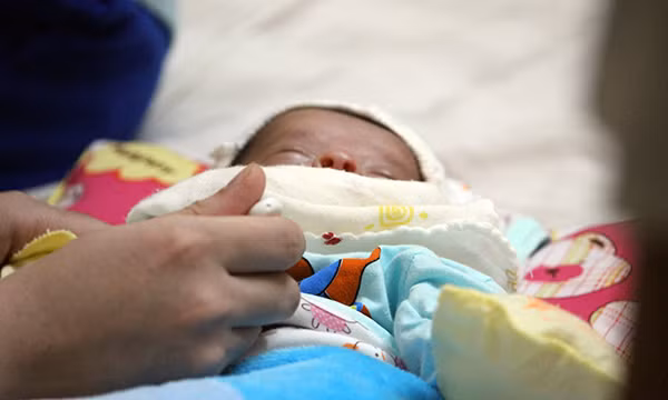 Nhoi long ong bo lan loi HN - Thanh Hoa xin sua nuoi con-Hinh-4