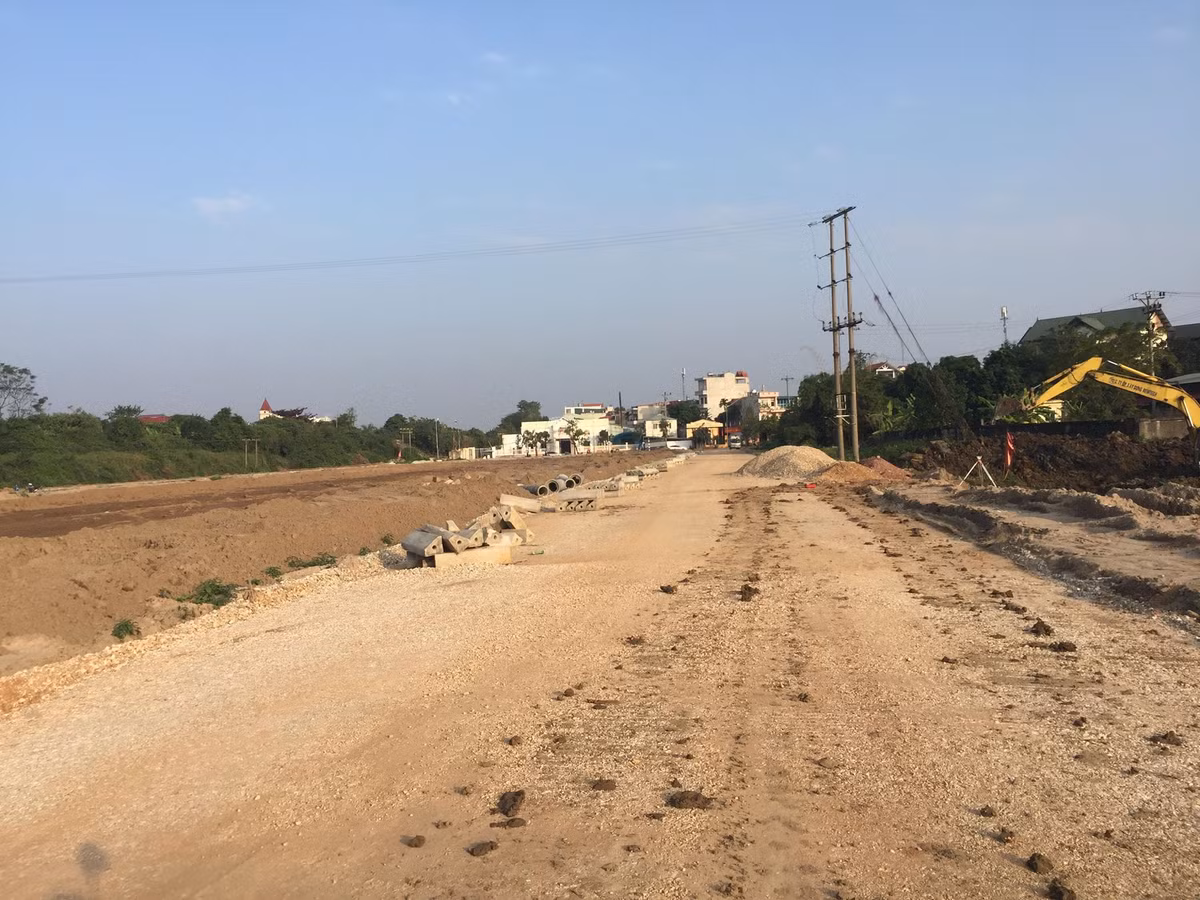 Sai pham “khung” cua Cong ty Newland: “Con voi suyt lot lo kim”