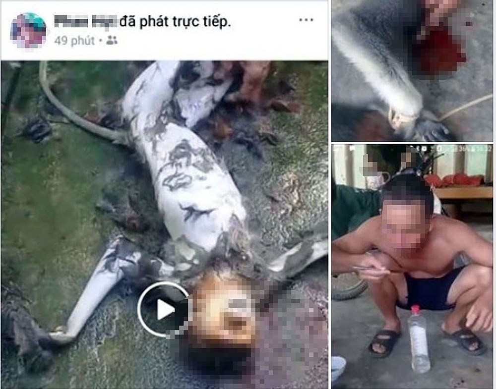 Giet dong vat hoang da khoe MXH: Vi sao cai ac duoc cong khai?