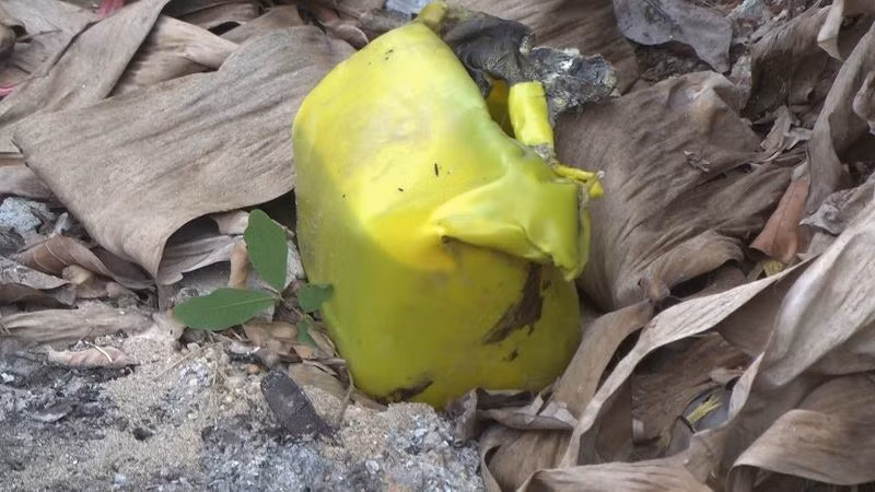 Con gai tuoi xang dot me roi tu thieu-Hinh-2