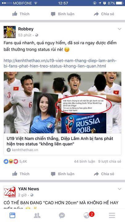 Rạng sáng (24/10), sự kiện U19 Việt Nam đánh bại U19 Bahrain và chính thức giành quyền tham dự giải World Cup U20 thế giới sẽ diễn ra vào năm 2017 tại Hàn Quốc được đông đảo giới trẻ Việt ăn mừng, để thể hiện niềm vui cùng đội nhà, ngay sau đó trên trang fanpage của mỹ nhân 8X đã đăng tải dòng trạng thái với nội dung: “Việt Nam chúng ta sẽ một lần ghi danh và tỏa sáng trên đấu trường Quốc Tế tại World Cup 2018 tới ở Nga. Tin vui và đáng tự hào giữa đêm! Bravo Việt Nam!”. Ngay sau khi lời chúc được cho là của Diệp Lâm Anh được chia sẻ trên Fanpage, rất nhiều người đã nhận ra sự nhầm lẫn ngây ngô vì trên thực tế, U19 Việt Nam chỉ được tham dự World Cup U20 vào năm 2017 ở Hàn Quốc.