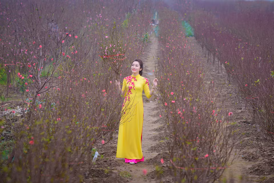 Mới đây, để chào đón mùa xuân và năm mới 2016, cô hot girl Lào xinh đẹp lại diện áo dài, dạo chơi trong vườn đào chụp ảnh. Hình ảnh cô gái Lào trong tà áo dài được nhiều bạn bè khen ngợi, nhận xét là đẹp không thua kém gì những cô gái Việt Nam chính hiệu.