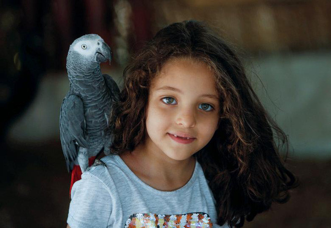 Vẹt đứng trên vai bé gái trong ngày đầu tiên vườn thú Giza được mở cửa trở lại tại thành phố Cairo, Ai Cập. (Nguồn Guardian)