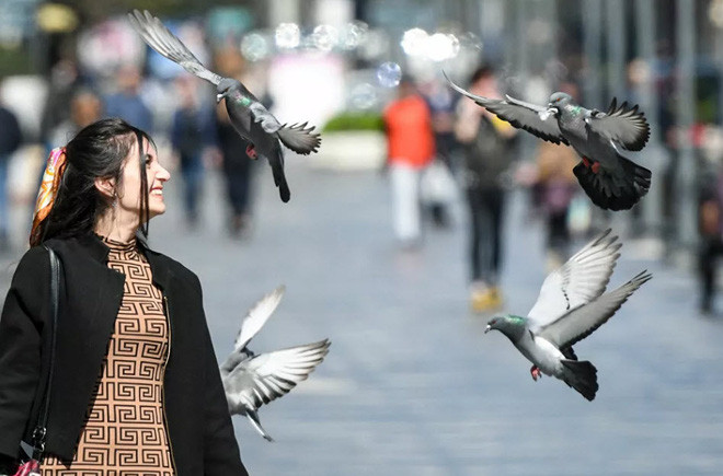 Cô gái chơi đùa với chim bồ câu trên đường phố ở Baku, Azerbaijan. (Nguồn Guardian)
