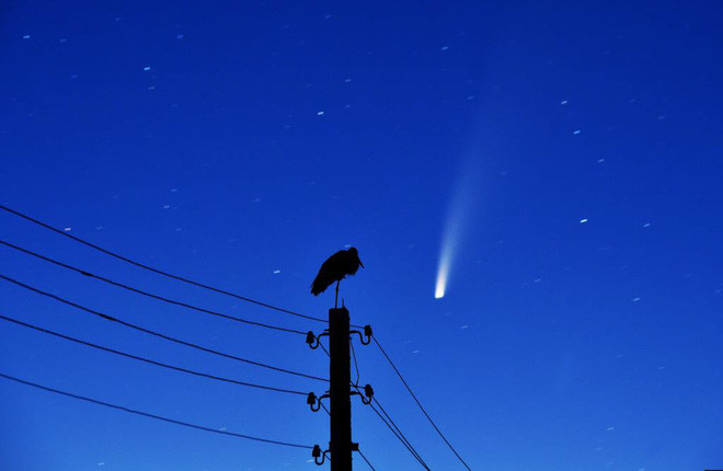 Cò đậu trên cột điện khi thiên thạch lao xuống Trái đất tại ngôi làng Kreva ở ngoại ô thành phố Minsk, Belarus. (Nguồn Guardian)