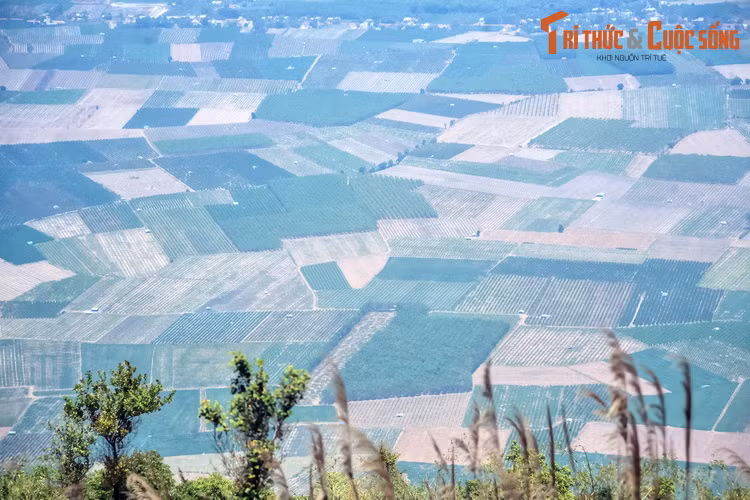 Những thửa ruộng mênh mông của mảnh đất Tây Ninh nhìn từ núi Bà Đen. Không chỉ được chiêm ngưỡng những cảnh quan tuyệt vời, đặt chân lên "nóc nhà của Nam Bộ", du khách còn được tận hưởng bầu không khí mát rượi, vô cùng sảng khoái.