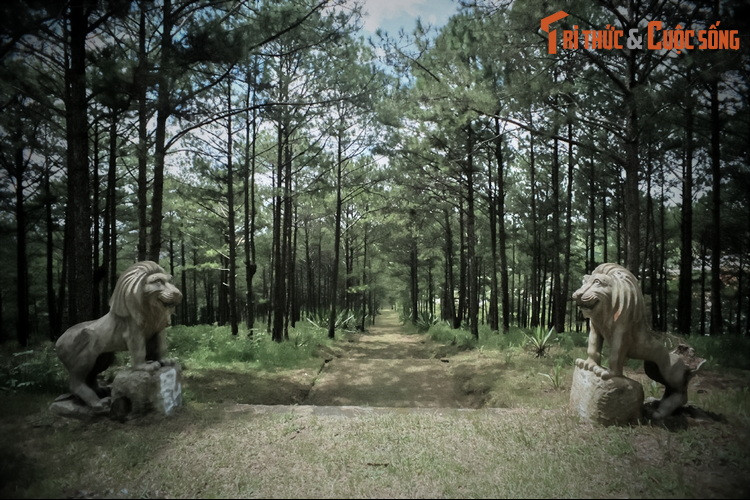 Tuy vậy, khu lăng mộ đã bị bỏ hoang trong một thời gian dài. Xung quanh nơi này cây cỏ, bụi rậm mọc lên khắp nơi, khiến khung cảnh trở nên hoang vu, lạnh lẽo. Một số chi tiết của công trình bị nứt vỡ, hư hại do tác động bên ngoài.