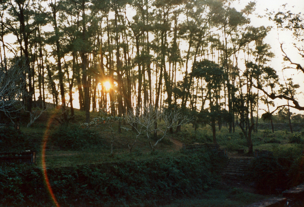 Ráng chiều trên đồi thông ở khuôn viên lăng Tự Đức.