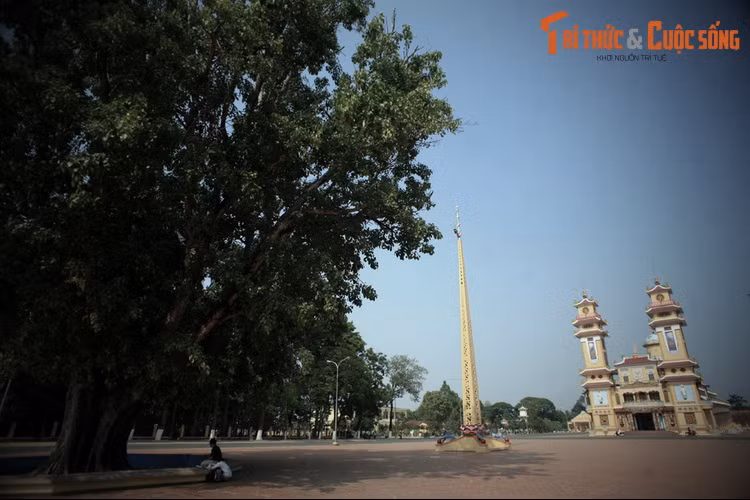  7. Cây bồ đề đến từ đất tổ Phật giáo. Khoảng sân trước Tòa Thánh có cây bồ đề cổ thụ do Đại đức Thera Narada, phó Tăng thống Phật giáo Srilanka, tặng cho Tòa Thánh năm 1953. Cây được chiết từ cây bồ đề ở Bồ Đề Đạo Tràng, Ấn Độ.