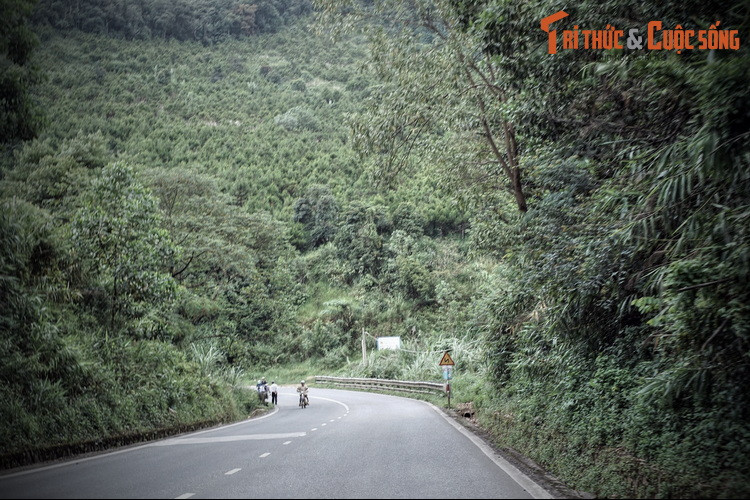 Lịch sử đèo Bảo Lộc gắn với con đường dẫn đến khu nghỉ dưỡng Đà Lạt đầu thế kỷ 20. Trong quá trình mở đường đèo, nhiều dân phu đã bỏ mạng vì bệnh tật, tai nạn hoặc bị thú dữ ăn thịt, xác của họ bị vùi lấp ở dọc đường thành những nấm đất hoang tàn không mộ chí.