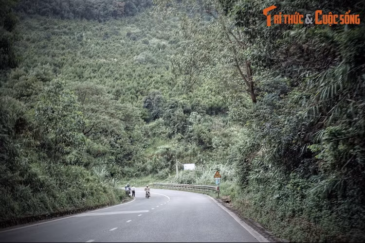 Lịch sử đèo Bảo Lộc gắn với con đường dẫn đến khu nghỉ dưỡng Đà Lạt đầu thế kỷ 20. Trong quá trình mở đường đèo, nhiều dân phu đã bỏ mạng vì bệnh tật, tai nạn hoặc bị thú dữ ăn thịt, xác của họ bị vùi lấp ở dọc đường thành những nấm đất hoang tàn không mộ chí.