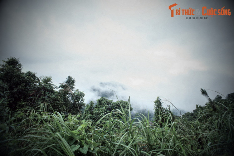 Điều đặt biệt các cô gái được miêu tả rất giống với ba cô gái bị tử nạn lúc trước. Người ta cho rằng vì chết quá trẻ và còn trong trắng nên oan hồn của ba cô gái vất vưởng trên đèo và khi gặp trường hợp tai nạn tương tự đã hiển linh giúp đỡ chàng trai trẻ trở thành người duy nhất thoát chết.