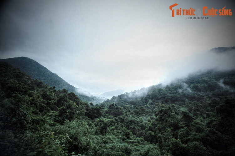 Chàng trai hỏi mọi người thì biết rằng người ta chỉ thấy có mỗi mình chàng nằm bên đường mà không hề thấy có thêm ai cả, và toàn bộ số người còn lại trong đoàn xe đã thiệt mạng, trong đó không có cô gái nào như chàng trai miêu tả.