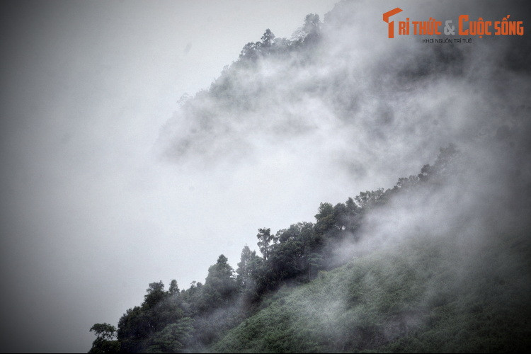 Không lâu sau đó có một đoàn xe du lịch lên Đà Lạt chạy tới khúc cua này cũng bị lật xe và lao xuống vực. Trong đoàn có bốn người sống sót gồm một chàng trai và ba cô gái. Dù rất yếu sau vụ tai nạn nhưng cả bốn người đều cố động viên lẫn nhau để cùng leo lên tới mặt đường.