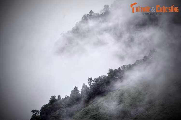 Không lâu sau đó có một đoàn xe du lịch lên Đà Lạt chạy tới khúc cua này cũng bị lật xe và lao xuống vực. Trong đoàn có bốn người sống sót gồm một chàng trai và ba cô gái. Dù rất yếu sau vụ tai nạn nhưng cả bốn người đều cố động viên lẫn nhau để cùng leo lên tới mặt đường.