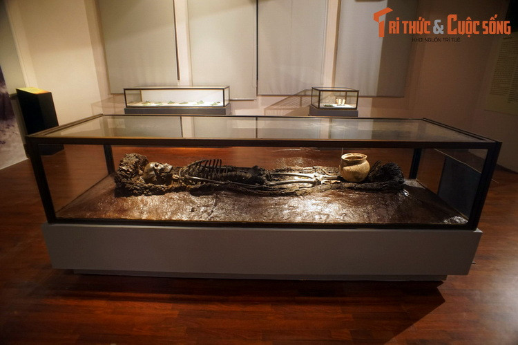 2. Mộ cổ Châu Can là một hiện vật đặc biệt, từng xuất hiện trong trưng bày chuyên đề "Báu vật Khảo cổ" ở BT Lịch sử Quốc gia. Ngôi mộ cổ này nằm trong nhóm mộ được phát hiện và khai quật vào tháng 9/1974 tại xã Châu Can, huyện Phú Xuyên, tỉnh Hà Tây Cũ, nay là thành phố Hà Nội.