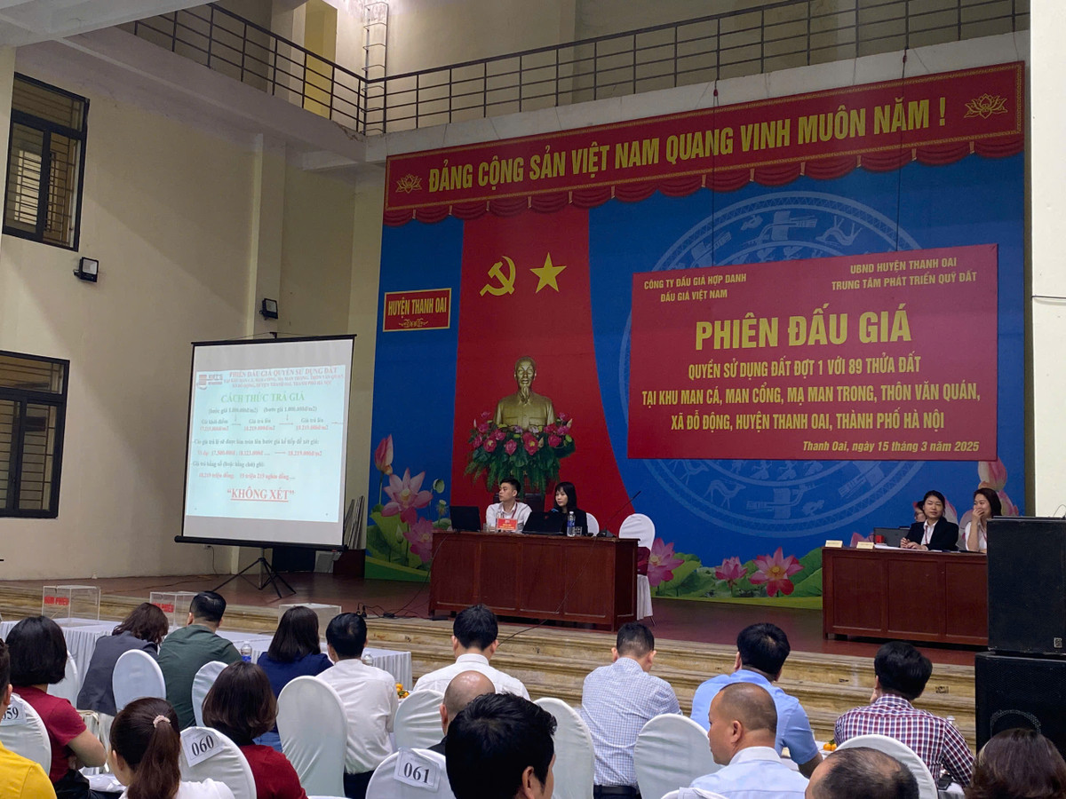 Ha Noi dau gia thanh cong 89 lo dat, cao nhat gan 80 trieu/m²