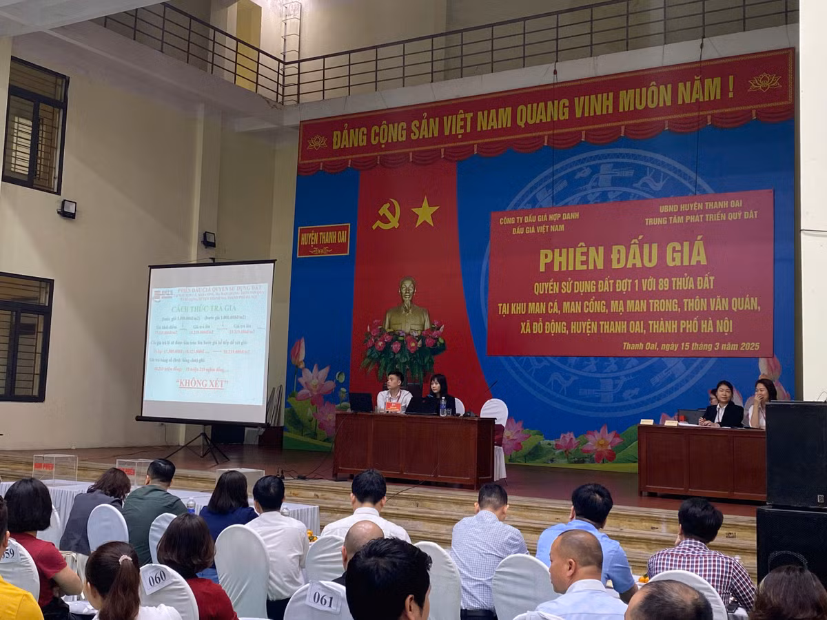 Ha Noi dau gia thanh cong 89 lo dat, cao nhat gan 80 trieu/m²