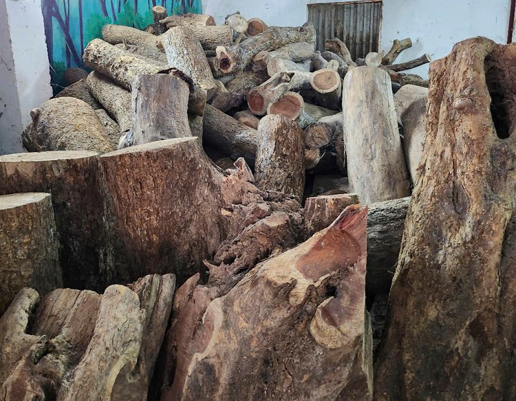 Ha Noi tim duoc chu cho 39m3 go sua, gia hon 154 ty dong