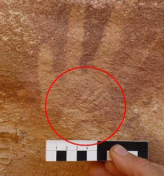 Tuy nhiên, qua nhiều lần kiểm tra chi tiết, các nhà khoa học khám phá ra một sự thật gây sốc, không có bàn tay con người nào có thể nhỏ như vậy, đó không phải là dấu tay của con người, chỉ là dấu tay của một loài giống con người mà thôi.