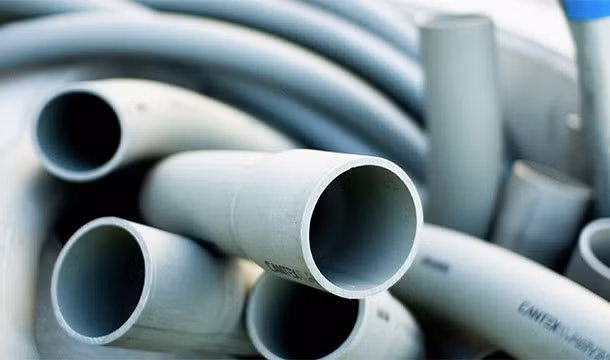 Có một loại nấm được phát hiện ở Amazon tên là Pestalotiopsis microspora có khả năng sống hoàn toàn trên nhựa, đặc biệt nó có thể phát triển trong điều kiện yếm khí.