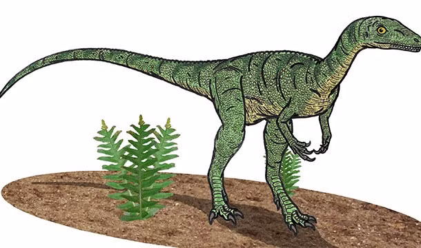 Một trong những loài khủng long được biết đến sớm nhất là Eoroptor, tên của nó có nghĩa là "bình minh stealer". Nó được đặt tên này vì đã sống vào thời kì đầu tiên của thời đại khủng long. (Theo L25)