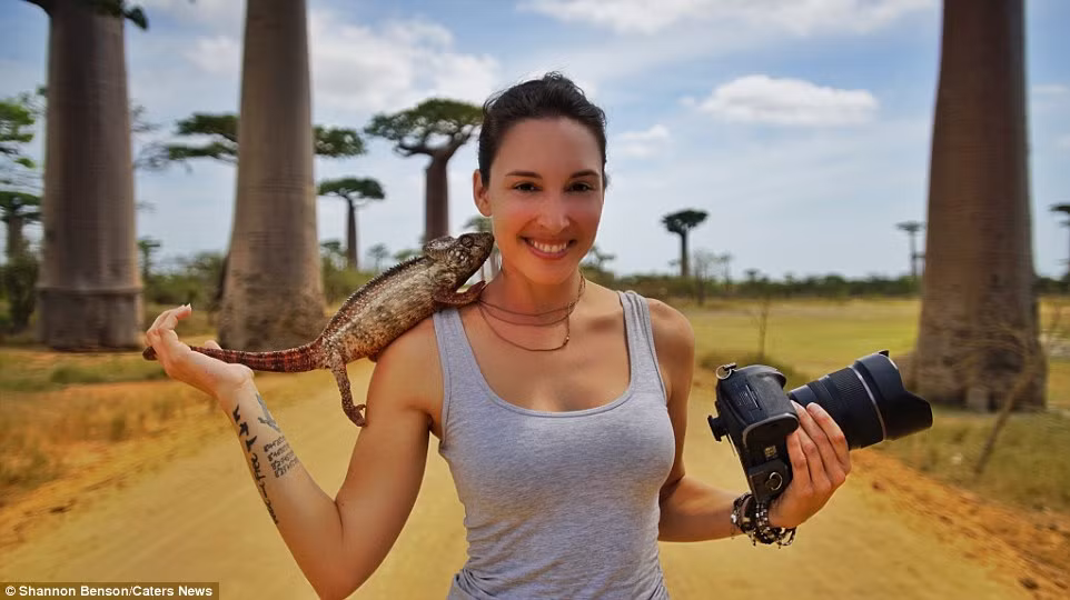 Shannon Benson thừa nhận trong quá trình tiếp cận thân mật với những loài động vật hoang dã ở Nam Phi, cô đã bị thương rất nhiều lần, bị cắn bởi những con chó hoang, rắn, thằn lằn. Cơ thể của Shannon có nhiều vết sẹo chứng minh cho điều đó.