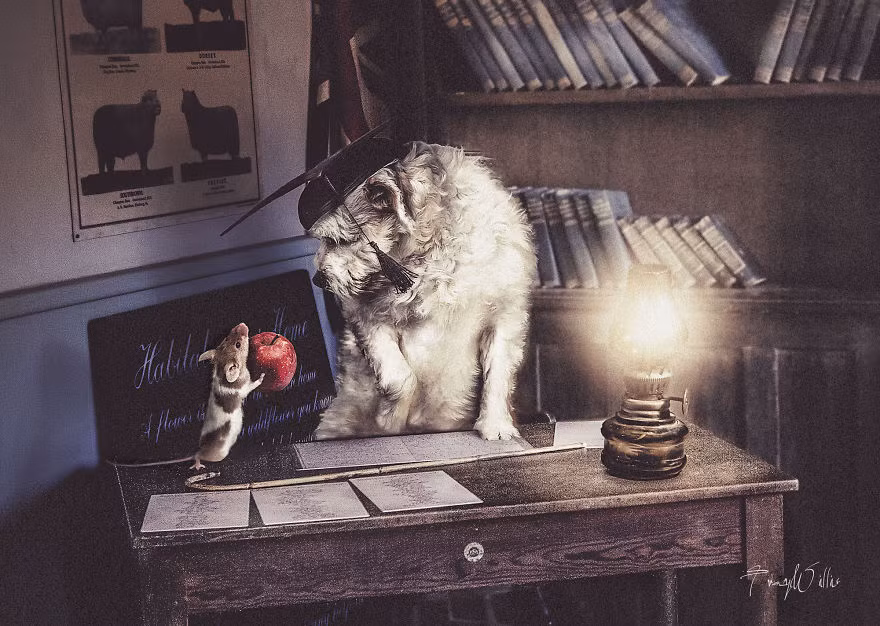 Bằng tài năng của mình, nhiếp ảnh gia người Anh, Tracy Willis khiến người xem mãn nhãn với những hình ảnh siêu thực về thế giới yên bình, đẹp tựa cổ tích của những thú cưng mơ mộng mà mình đang sở hữu. (Theo Bored Panda)