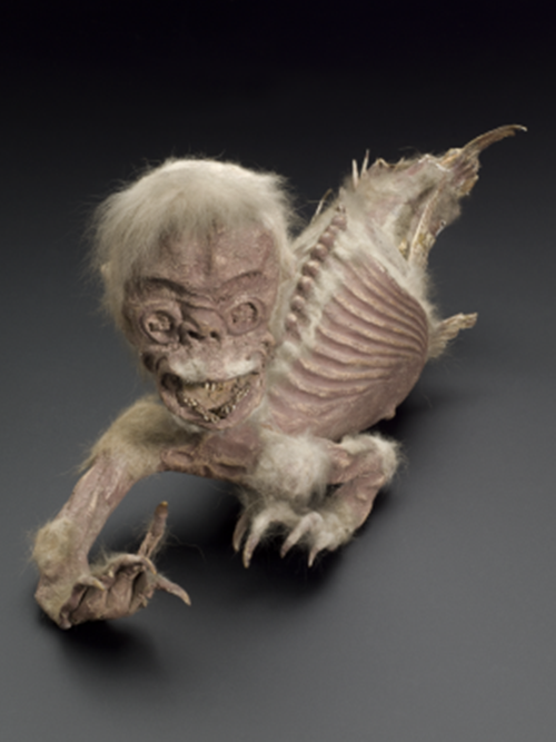 Hàng trăm năm trước đây, con người đã thực sự bắt được nàng tiên cá. Tuy vậy, có lẽ sinh vật kỳ lạ này không đáng được gọi là tiên bởi không chỉ có bề ngoài xấu xí, ghê rợn và "nàng tiên cá" này còn có thể khiến bạn gặp ác mộng với những móng vuốt và bộ răng gớm ghiếc. (Theo Boredom)