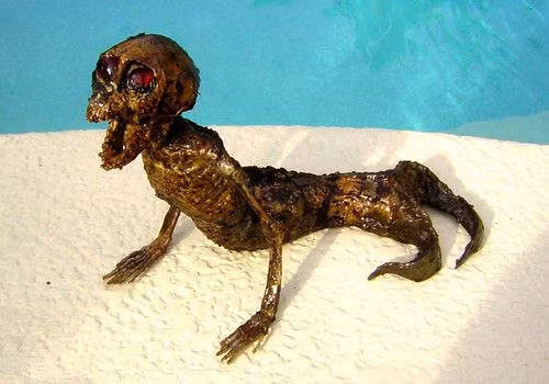 Tiểu bang Victoria là nơi tập hợp những fan hâm mộ lớn của những sự kiện lạ, sinh vật kỳ lạ và những sinh vật quái dị thực sự có thể khiến họ chi những hóa đơn lớn để sở hữu. (Theo Boredom)