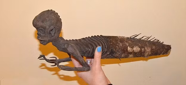 Chính vì vậy, nghi vấn về việc những nàng tiên cá được làm giả để thu về nguồn lợi nhuận lớn khiến nhiều người hoang mang. (Theo Boredom)