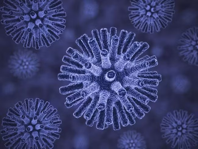 Virus được tạo ra từ ARN (ARN được xem như tiền thân của DNA, nhưng phức tạp hơn). Những virus này sẽ tạo ra bản sao DNA, tạo ra những đoạn mã DNA không có trật tự, còn được gọi là DNA rác. (Theo Viral Nova)