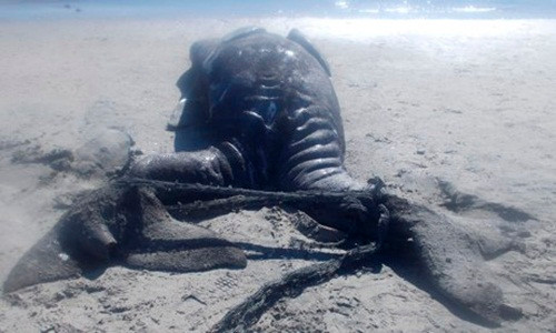 Theo ghi nhận, trường hợp cá voi xám sinh đôi dính liền ở được phát hiện ở Mexico là trường hợp đầu tiên trên thế giới.