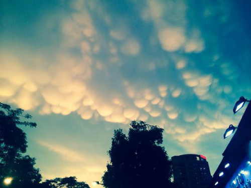 Ánh sáng hoàng hôn chiếu hắt vào những đám mây hình cầu sát cạnh nhau tạo hiệu ứng rất đẹp. (Theo Ione.net)