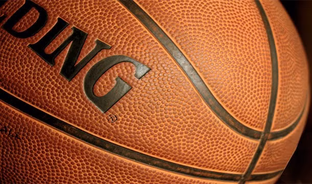 Theo các nhà khoa học, trứng khủng long lớn nhất chỉ có kích thước của một quả bóng rổ. (Theo L25)