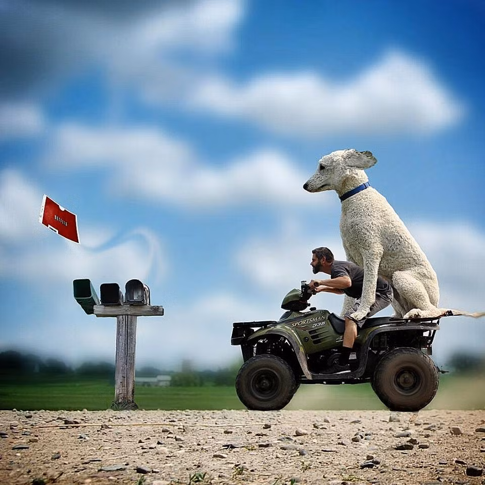 Mục đích của Juji là biến chuyến phiêu lưu của mình và chú chó cưng trở nên mới lạ, không gì là không thể trong thế giới tưởng tượng.