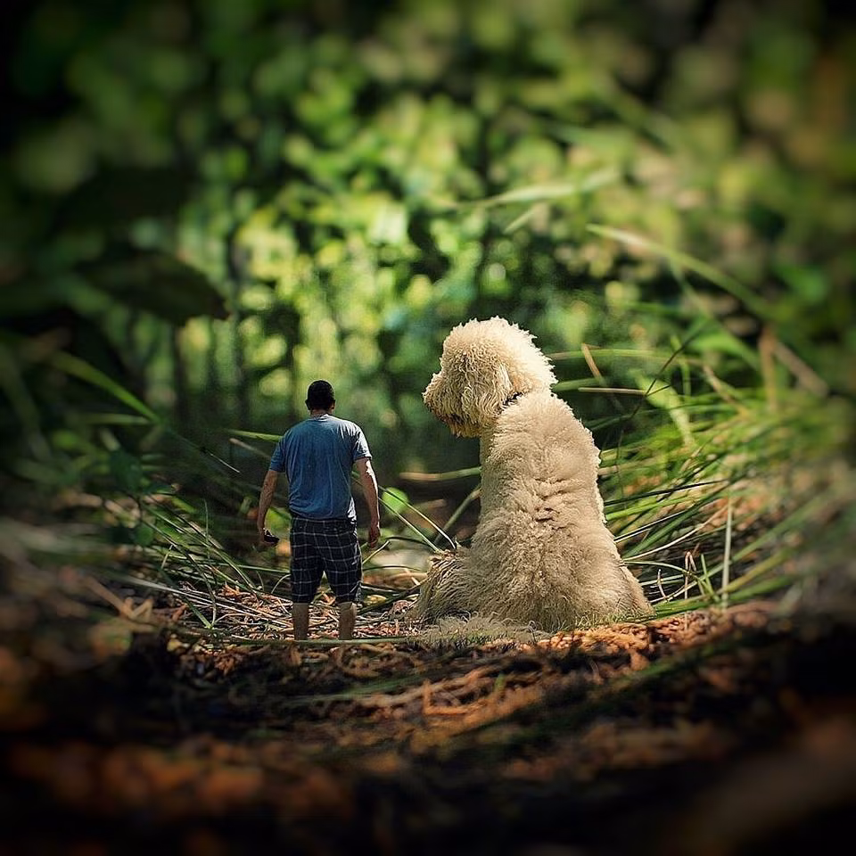 Luôn bên nhau dù trong bất kỳ tình huống nào.