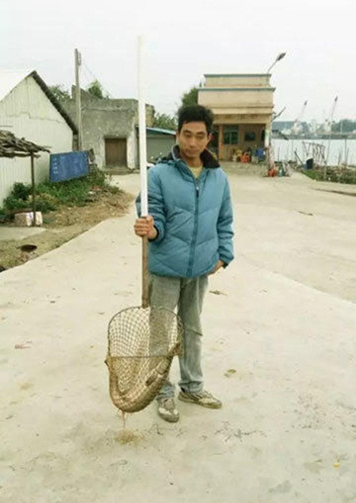 Sau khi tra tìm thông tin trên mạng, các phóng viên tạm xác định con thủy quái này là cá sấu mõm dài Bắc Mỹ, tên khoa học là Lepisosteus Oculatus Winchell thuộc bộ Lepisosteiformes (bộ cá mõm dài), là một loài sinh vật dưới nước rất nguy hiểm.