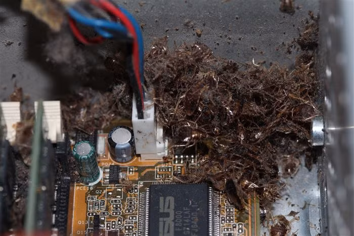 Đây thực sự là một cơn ác mộng với những anh chàng sửa máy tính nhưng sợ côn trùng. (Theo Emgn)