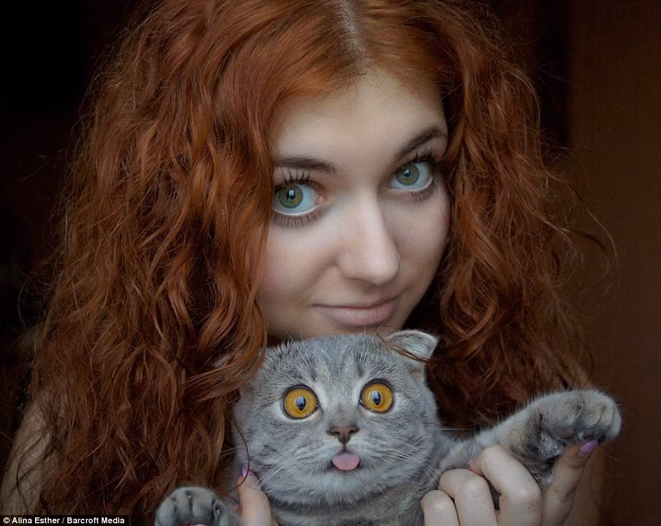 Cô mèo nổi tiếng Melissa là một cô mèo giống Scottish Fold. Trước đây khi mới nổi tiếng, nhiều người lầm tưởng Melissa lè lưỡi là do sở thích kỳ quặc của cô. Tuy nhiên, thực sự thì Melissa mắc phải một căn bệnh về xương khiến hàm dưới kém phát triển, đôi khi cô rất khó giữ lưỡi ở trong mồm của mình.