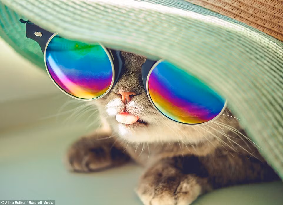 Alina Esther, cô chủ của Melissa vốn là một kế toán xinh đẹp nhưng cũng đồng thời là một nhiếp ảnh gia nghiệp dư có tài.