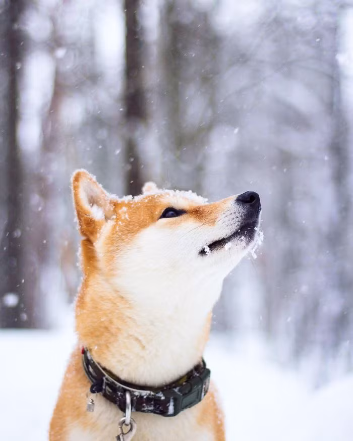 "Nana bước vào cuộc sống của tôi như một cơn bão, đột nhiên cô bé là tất cả mọi thứ tôi quan tâm, tất cả mọi thứ tôi nghĩ đến và chiếm lĩnh tất cả thời gian rảnh của tôi", Christine chia sẻ thêm.