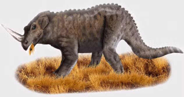 3. Quái vật Emela-Ntouka, trong tiếng Lingala ở Trung Phi, Emela-Ntoukacó nghĩa là "kẻ giết những con voi". Hình thù của con quái vật này gần giống với loài khủng long với dọc gai chạy suốt tấm lưng, chiếc sừng sắc nhọn, đuôi dày, dài và vót nhọn. Chúng có thể dễ dàng "làm thịt" một con voi và con người chắc chắn không phải đối thủ của chúng.