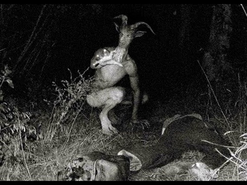 6. Quái vật nửa người nửa dê, vào mùa hè năm 1969, ở Texas, người dân vô cùng xôn xao với những vụ mất tích bí ẩn của nhiều khách bộ hành và người ta tin rằng quái vật người dê phải chịu trách nhiệm cho những tội ác đó. Một số câu chuyện còn cho rằng vì lòng hận thù, người dê giết người rất dã man, nó lóc thịt nạn nhân mình đến chết trong hả hê để thỏa mãn đam mê trả thù.