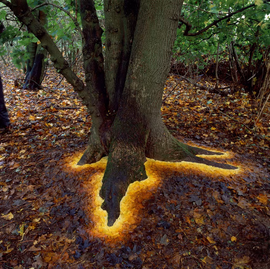 Andy Goldsworthy là một nhà điêu khắc người Anh, rất nổi tiếng trong lĩnh vực tạo nên những tác phẩm nghệ thuật tuyệt đẹp từ gậy và đá hoặc bất cứ thứ gì mà ông có thể tìm thấy bên ngoài thiên nhiên. (Theo Boredpanda)