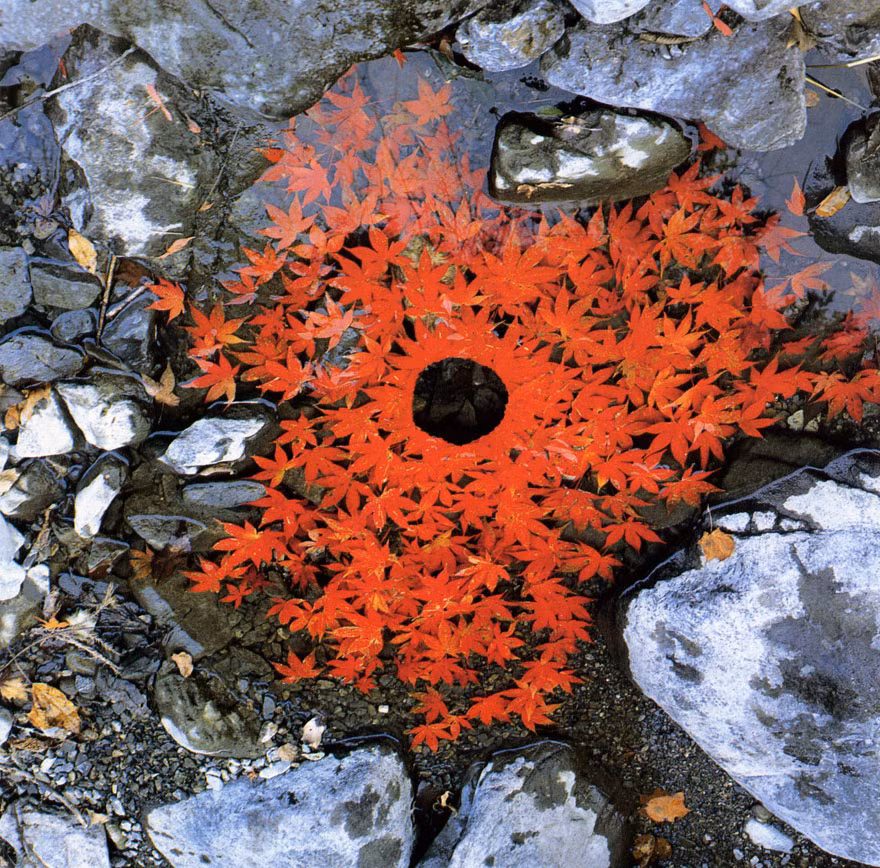 Là con trai của một nhà toán học, Andy Goldsworthy lớn lên trong một trang trại và đã quen với cuộc sống tiếp xúc trực tiếp với thiên nhiên. Công việc trước đó của Andy gắn liền với đồng áng như thu hoạch khoai tây, do đó anh dễ dàng hiểu được nhịp điệu của thiên nhiên. (Theo Boredpanda)