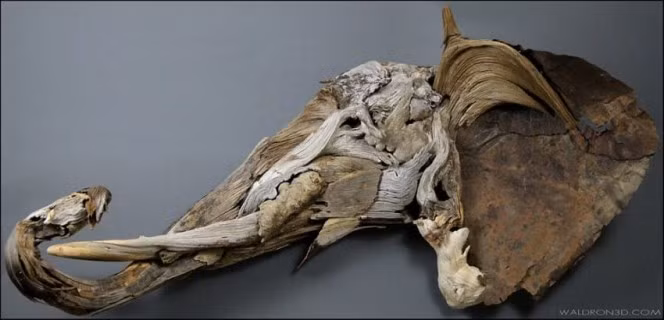 Đặc biệt, những tác phẩm của Jason được ghép nối hoàn toàn tự nhiên, rất hiếm khi anh chỉnh sửa, bào, gọt những mẩu gỗ. (Theo Boredom Therapy)