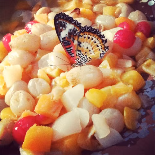 Natri và glucose cũng được tìm thấy trong trái cây, cũng là một loại thức ăn ưa thích của những con bướm. (Theo Boredom Therapy)