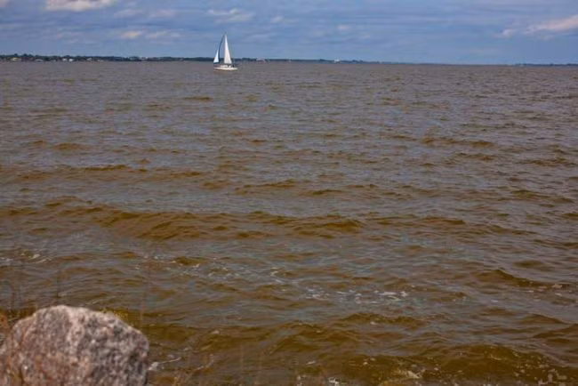 Những hình ảnh báo động trên đã chứng minh một điều, hiện tượng ô nhiễm môi trường đang diễn ra toàn cầu và ngày càng sâu sắc, nếu không có biện pháp cải tạo kịp thời, con người sẽ phải chịu những thảm họa sinh thái nặng nề. (Theo Viral Nova)