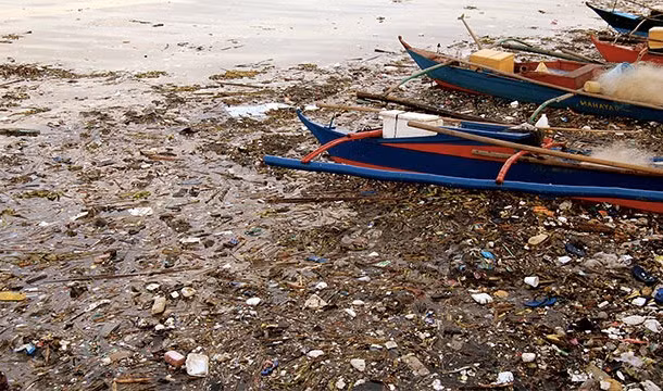13. Cá sống trong những môi trường bị ô nhiễm nặng sẽ mất đi khứu giác. (Theo L25)